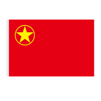 千优美(Qianyoumei)团旗制作 中国共青团团旗红旗 防水旗帜布+丝网印刷 3号旗(192*128cm）2面起订
