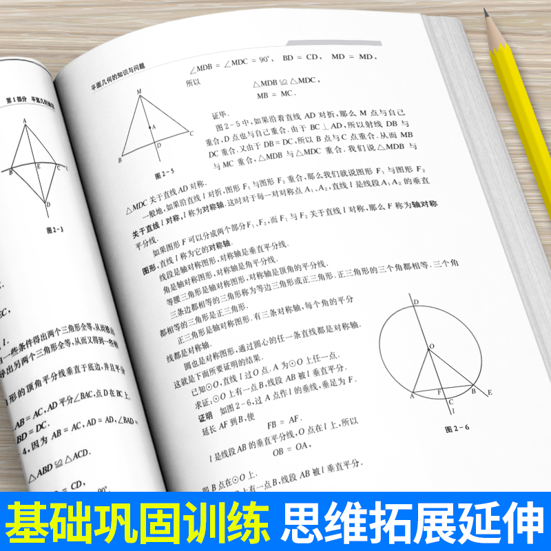 [正版]中科大平面几何的知识与问题单墫 高中数学知识大全平面几何的基础知识 概念、理论、定理等平面几何题的解题规律