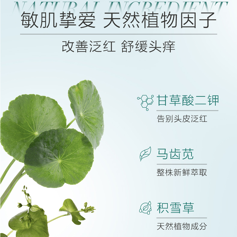 自然堂(CHANDO)头皮护理敏感头皮止痒洗发露550mL高清大图