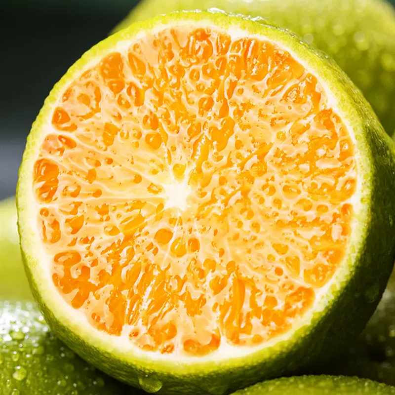 [熊猫鸟]正宗云南冰糖橙 净重5斤 小果 单果60mm左右 哀牢山新鲜应季水果高清大图