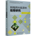 刺槐燃料能源林培育研究
