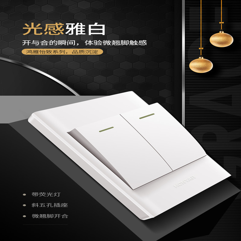 鸿雁暗装86型墙壁开关插座面板家用 一二开单双控USB防水盒暗盒 （正5孔插座）10个装