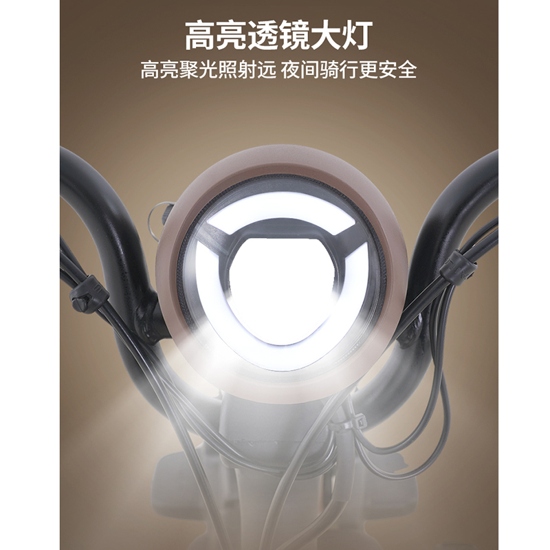 中锐智采 电动自行车代步车高清大图