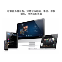 bosinund/博斯顿X980 KTV家庭影院音响电视音响 5.1声道套装 AP350功放 环绕音箱家用客厅重低音