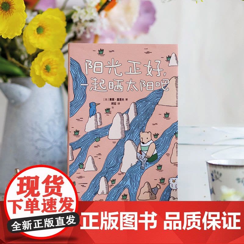 阳光正好 一起晒太阳吧 索菲·盖里夫 著 外国文学图片
