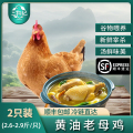 [苏鲜生推荐]三物纪 皖南黄油老母鸡2.6-2.9斤/只 2只装 新鲜现杀冷冻净膛竹林慢养走地鸡