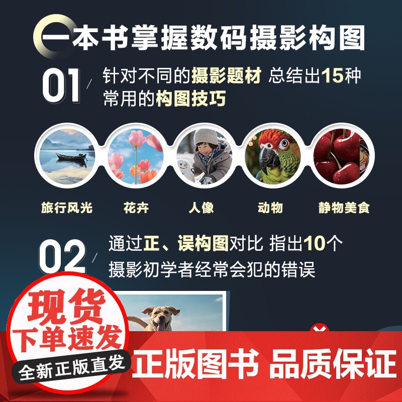 从零开始学习摄影构图 摄影书籍构图拍摄技巧教程数码单反摄影构图教程手机摄影入门旅行风光人像摄影书籍高清大图