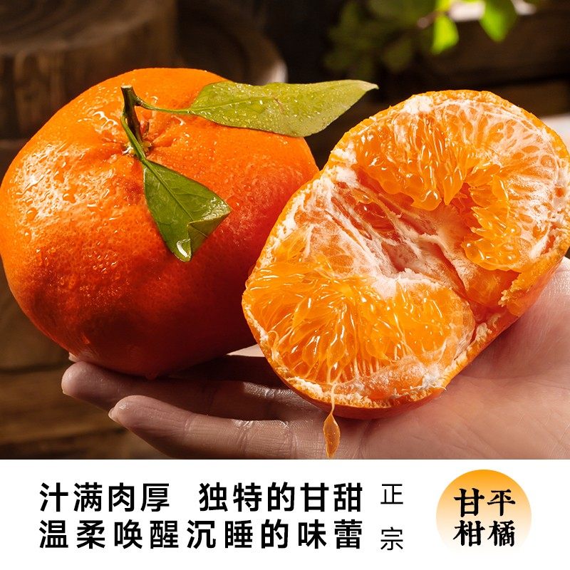 [西沛生鲜]四川甘平皇后柑橘 净重5斤 果王 单果100mm+ 产地精选 甜美多汁 坏果包赔高清大图