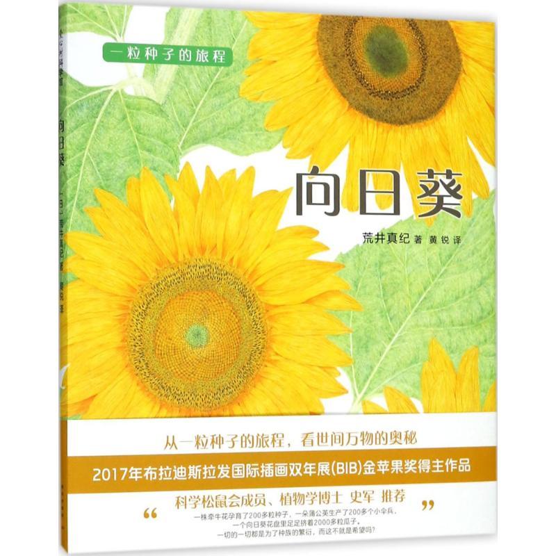 正版新书】向日葵荒井真纪9787513326179