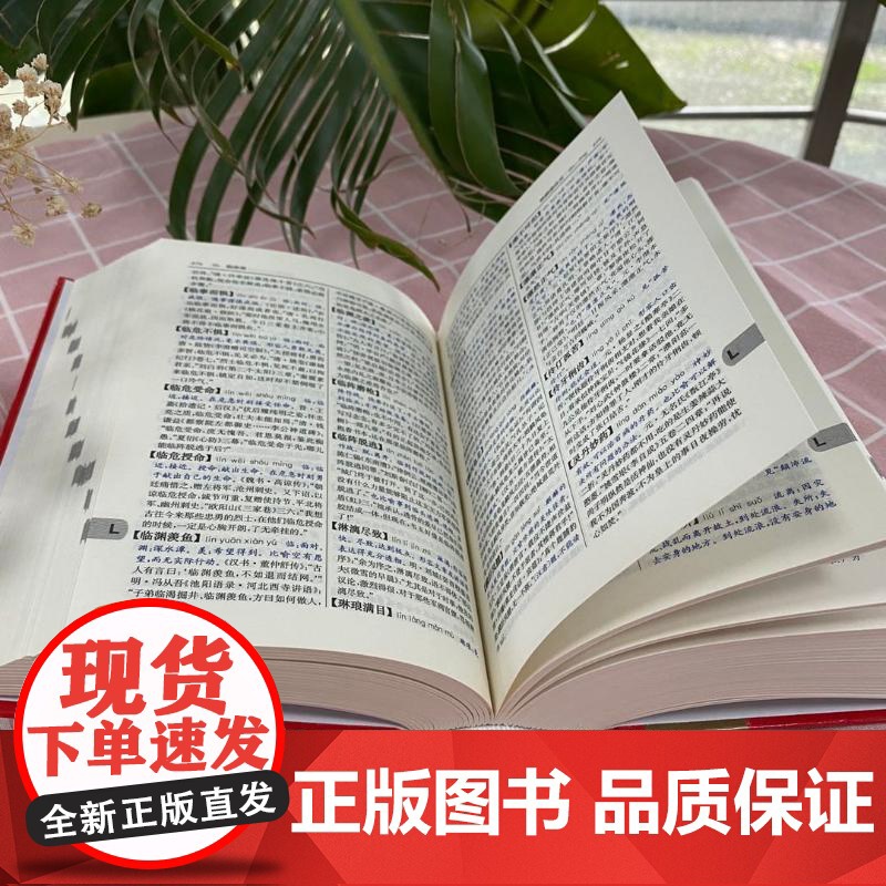 新华成语词典 第2版 词典汉语工具书 第二版新华成语词典中小学学生常备工具书双色印刷辅导工具书辞典 商务印书馆高清大图