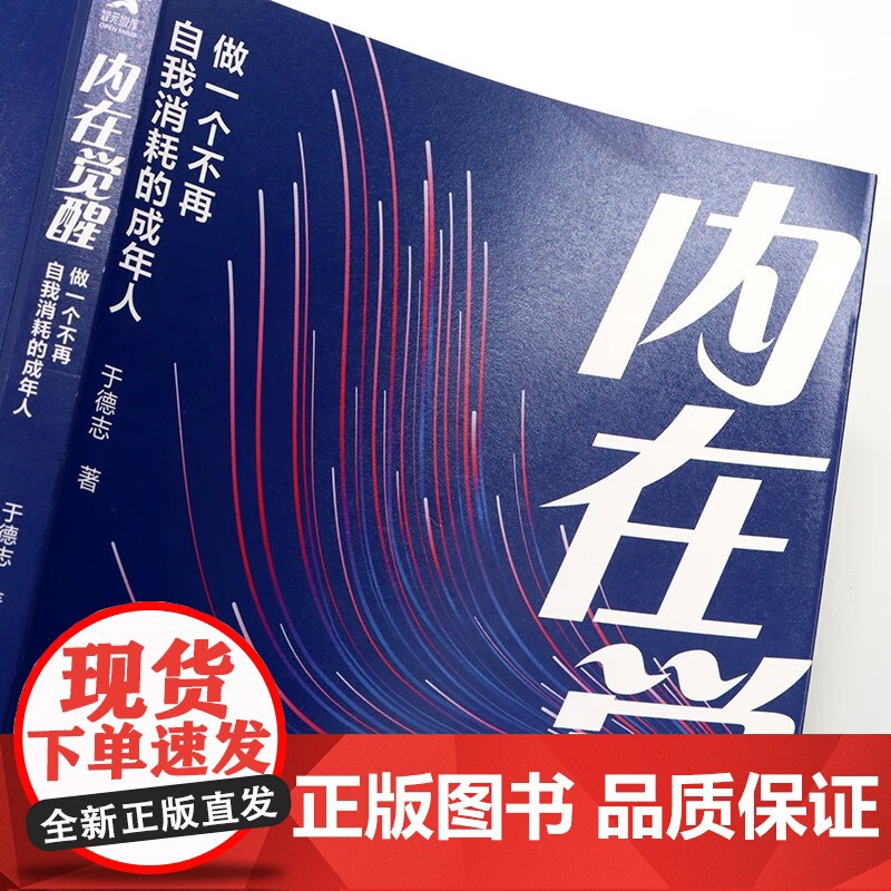 内在觉醒 于德志 著 心理学高清大图