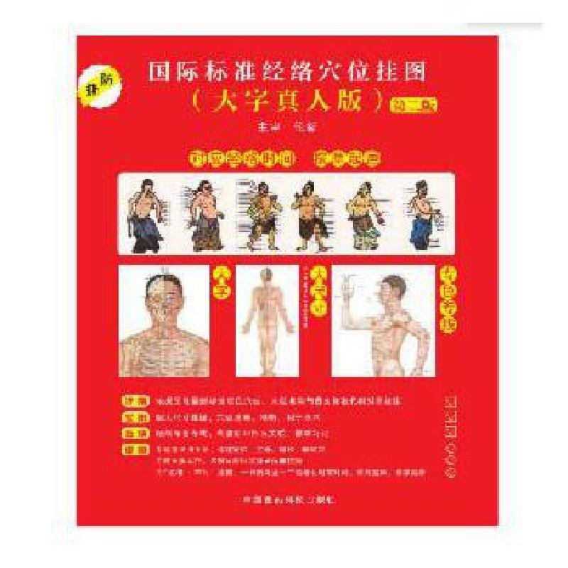 正版新书】国际标准经络穴位挂图(大字真人版·第二版)本社97875