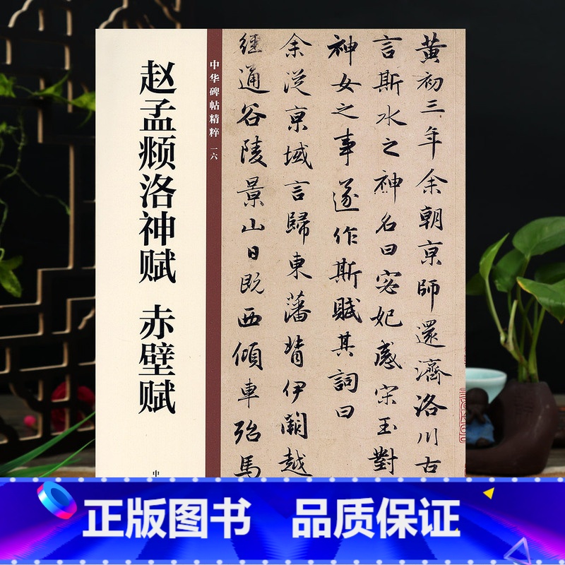 [正版]赵孟頫洛神赋 赤壁赋 16开行书毛笔书法字帖 中华书局 中华碑帖16 简体旁注高清大图