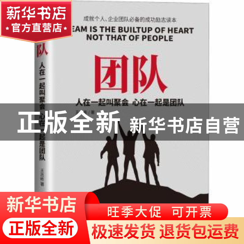 正版 团队:人在一起叫聚会 心在一起是团队 王志彬著 中国商业出