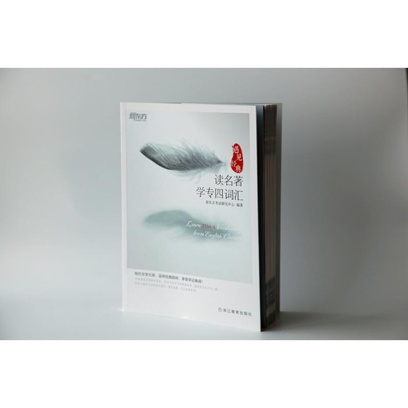 正版 新东方 遇见经典 读名著学专四词汇 TEM-4英语专业四级考试词汇 专四必背核心单词 专业四级词汇单词速记单词