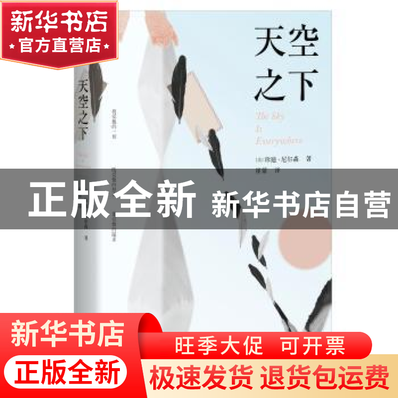 正版 天空之下 【美】珍迪·尼尔森 著,记忆坊出品,有容书邦 发行