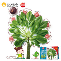 思念 儿童成长营养水饺 珍味蔬菜口味 210g (32只)