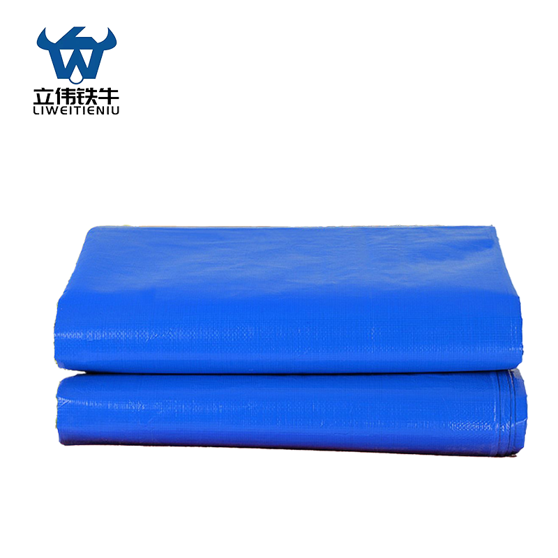 立伟铁牛篷布桔蓝6*10m张高清大图