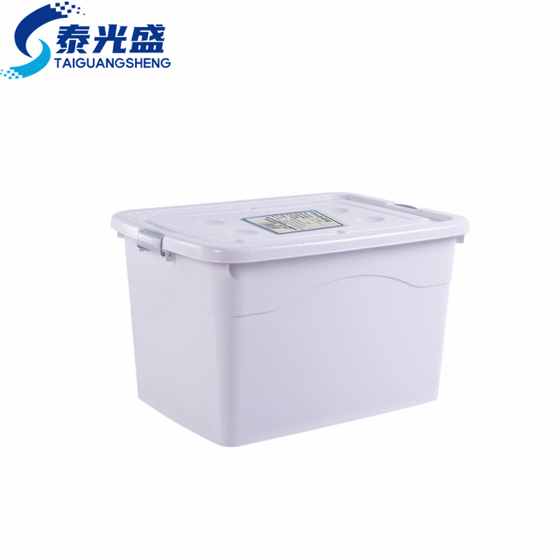泰光盛储物箱80cm个