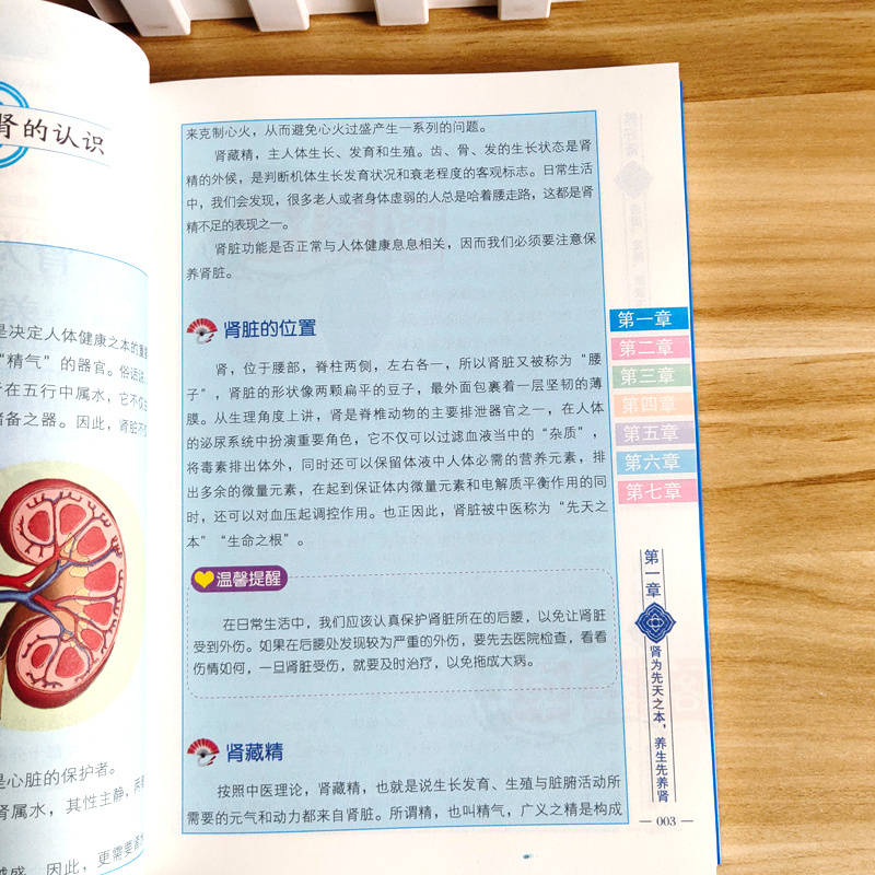 [正版] 养好肾 齿固发黑腰腿不老彩色插图养肾护肾实用保健书食疗运动按摩刮痧拔罐针灸中医养生就要养五脏家庭保健养身书籍现