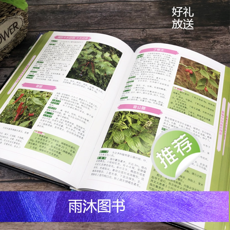 [正版]精编中国药典中药原色图谱 中草药图鉴图谱 中国药材图鉴 中医学书籍中药材大全 300余种常用中草药识别应用原色高清大图