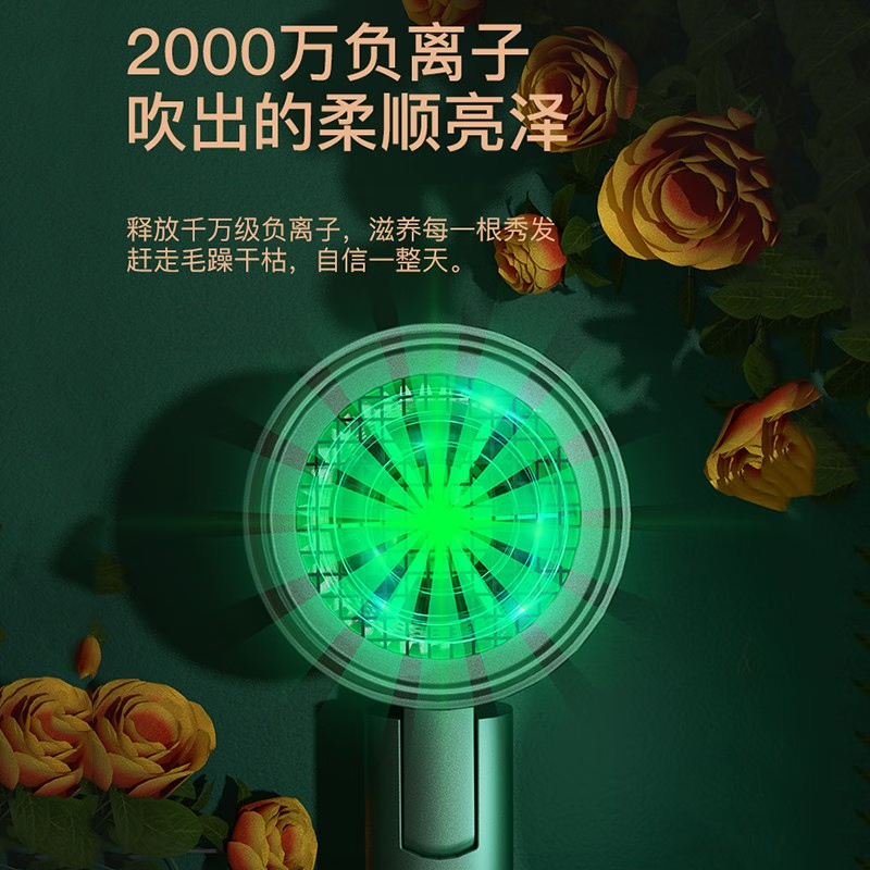 雷瓦 可折叠电吹风 RC-7305 单位:个高清大图
