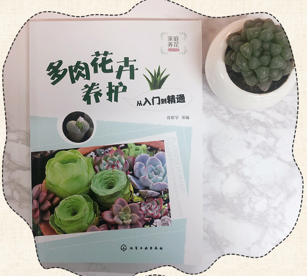 [醉染正版]多肉花卉养护从入门到精通 多肉贵族十二卷属图鉴 零基础多肉养殖书籍 花艺家庭养花植物 花卉多肉养护知识 多肉高清大图