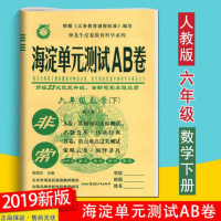 2019春 神龙教育 非常海淀单元测试AB卷 数学六年级下册 人教版RJ 小学6年级下册同步测试卷 基础知识达标测试 重