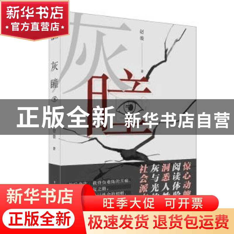 正版 灰瞳 赵骏 重庆出版社 9787229160722 书籍图片