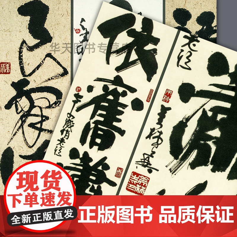 [正版]韩美林艺术大系 书法卷二韩美林人民美术出版社9787102082646高清大图