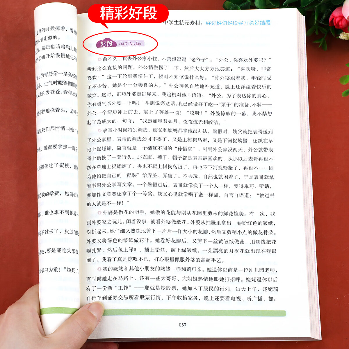 中学生好词好句好段好开头好结尾 满分素材大全 初中优美句子积累本七八九年级作文素材上册下册作文书必读课 好词好句好段好开高清大图