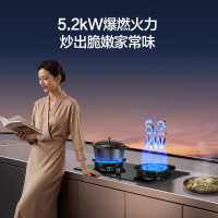 万和(Vanward)[新升级蓝莲花B9S]5.2kW猛火燃气灶嵌入式家用煤气双炉灶具新国标一级能效 液化气