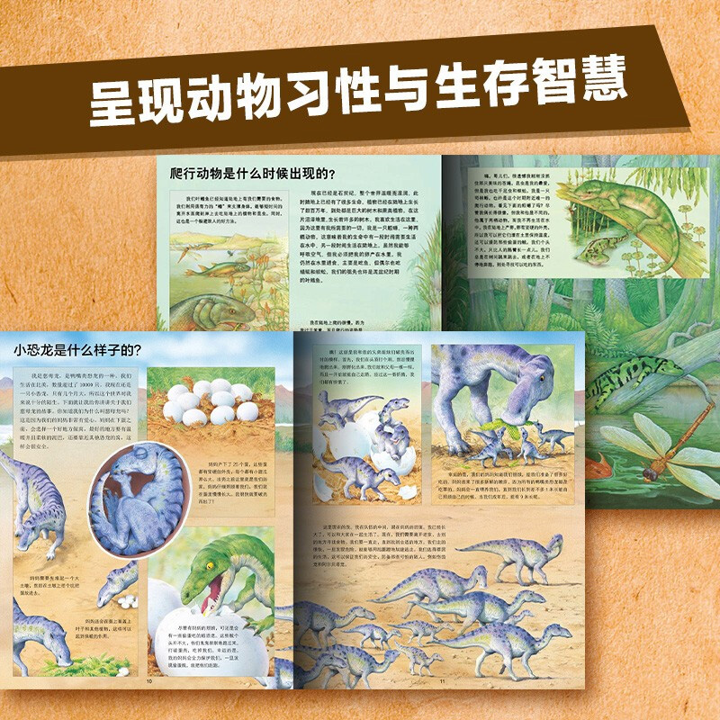 听老鹰讲故事[第二辑] [正版]动物王国大探秘全套12册 听动物海洋生物恐龙昆虫讲故事非注音小学生三四五六课外阅读书籍3高清大图