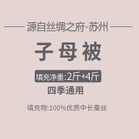 太湖雪蚕丝被100%蚕丝中长丝春秋被芯秋冬被子保暖子母被 静柔型