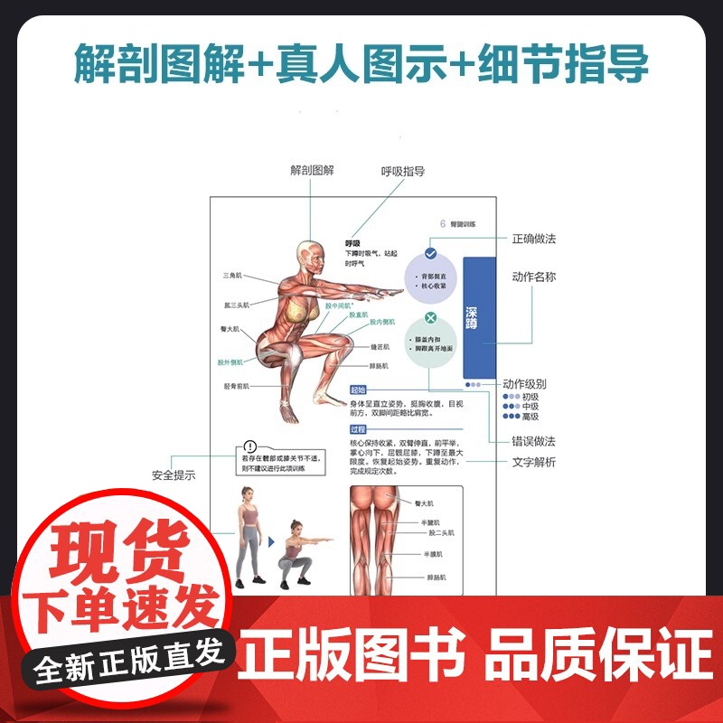 无器械训练彩色图谱 口袋版 徒手健身 无器械力量训练 健身书籍 健身训练计划 增肌书籍 力量与肌肉训练图谱高清大图