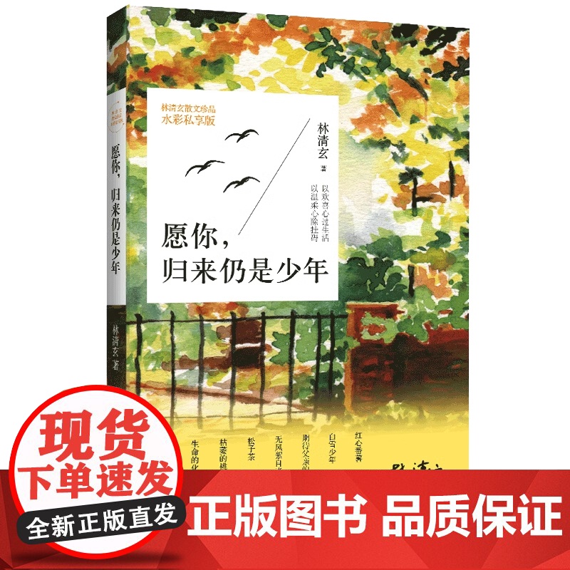 正版 愿你归来仍是少年 全彩插图本 林清玄启悟人生系列 现当代文学散文精选集近代随笔故事 多篇文章入选课本及高考 书高清大图