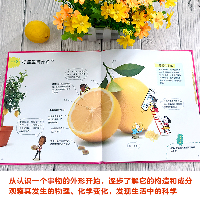 醉染图书万物里的科学(全6册)9787544870573高清大图