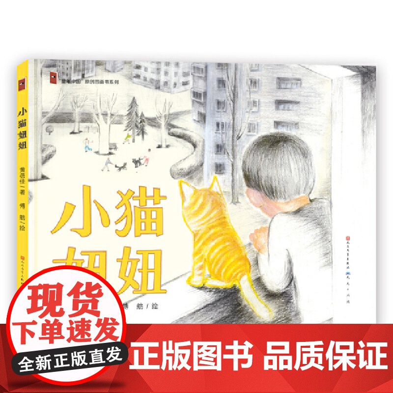 小猫妞妞高清大图