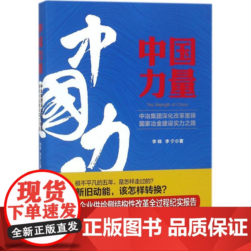 正版中国力量李锦,李宁 著 著9787513652162中国经济出版社