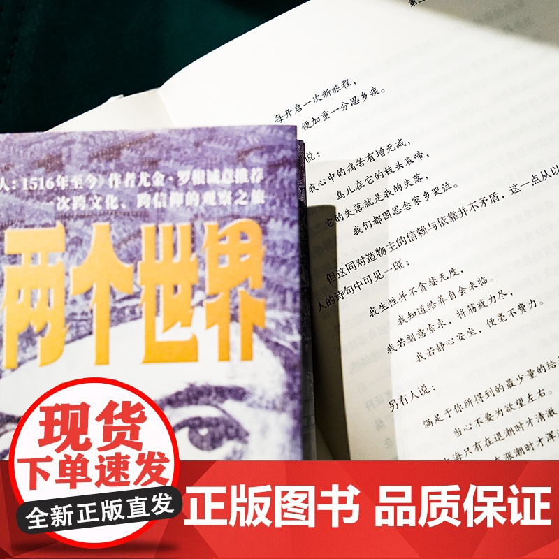 两个世界 19世纪一个阿拉伯人的欧洲观察手记 好望角丛书系列 阿拉伯人记录的欧洲历史 一次跨文化跨信仰的观察之旅 世界史高清大图
