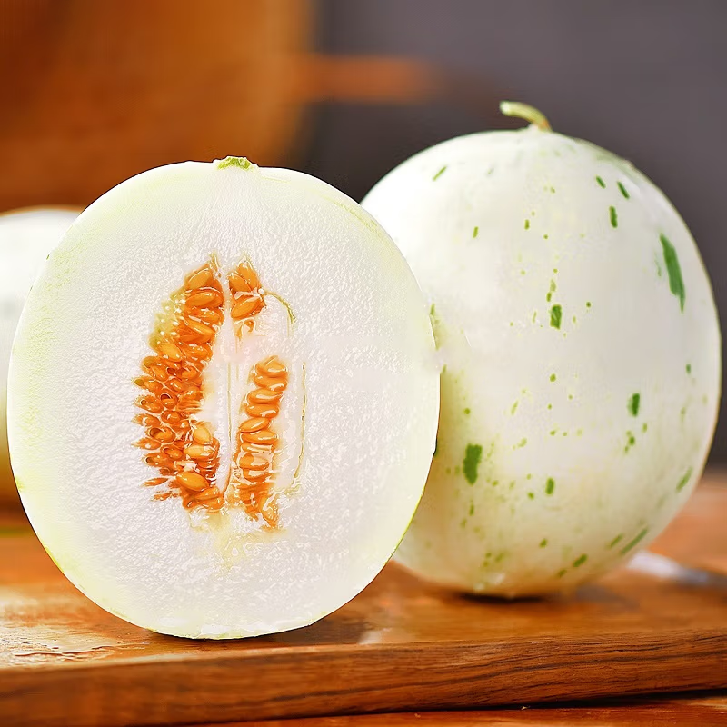 [西沛生鲜]礼盒装 山东蜜露流星甜瓜 5斤装 2个 蜜瓜香瓜 当季甜瓜
