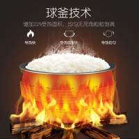 苏泊尔电压力锅珠光黑家用3L小型多功能精钢球釜电高压锅煮饭锅 一锅双胆 智能预约 SY-30FC12Q