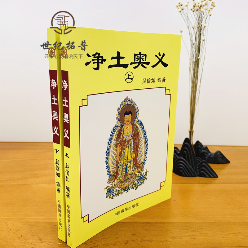 [正版] 净土奥义(上下)吴信如/唐密东密净土五经述要净土演坛阿弥陀经无量寿经观无量寿经鼓音声王陀罗尼经无量印法门经