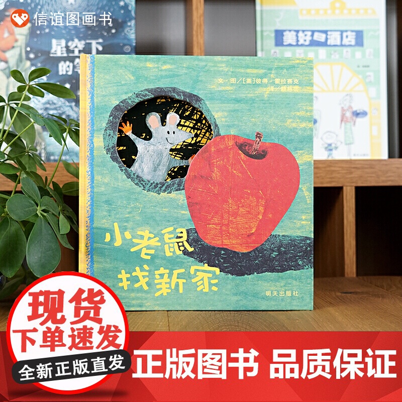 小老鼠找新家 3-6岁幼儿玩具书洞洞书 儿童信谊精装绘本 正版书籍幼儿园大班小班宝宝睡前读物亲子共读精装硬壳一年级高清大图