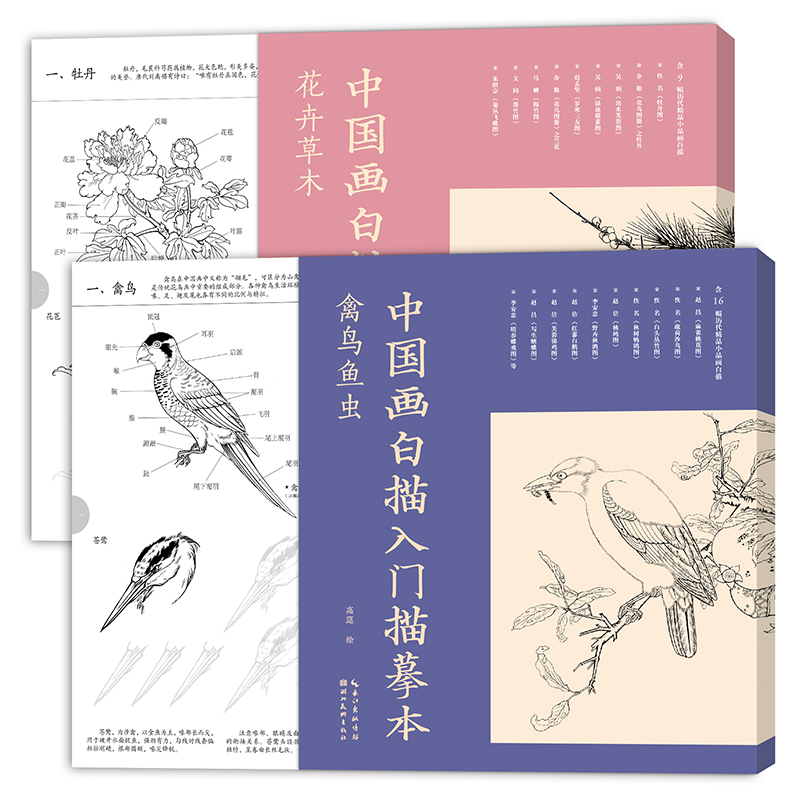 醉染图书中国画白描入门描摹本·花卉草木+禽鸟鱼虫9787571215439高清大图