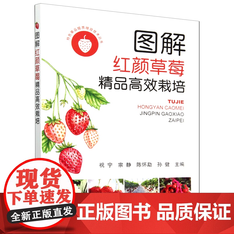 图解红颜草莓精品高效栽培 9787109323247 /特色果品提质增效技术丛书 祝宁 宗静 陈怀勐 孙健 编 中国高清大图