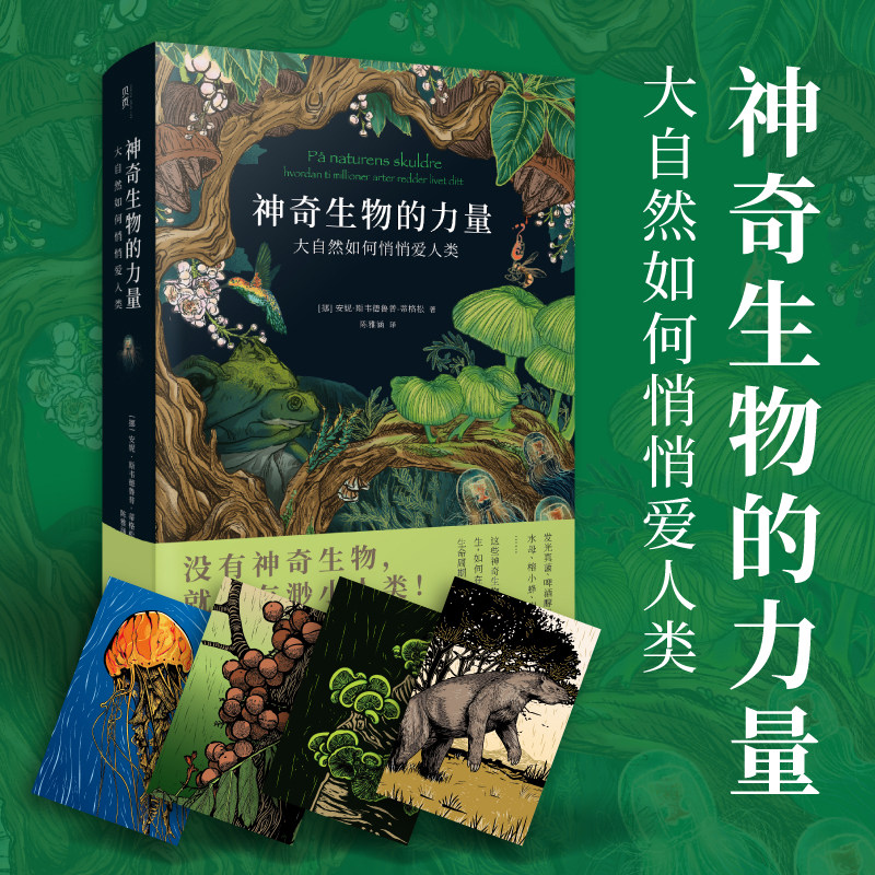 正版新书]神奇生物的力量:大自然如何悄悄爱人类安妮·斯韦德鲁普高清大图