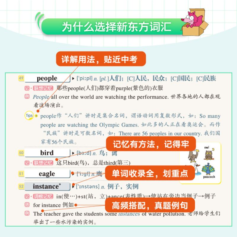 初中词汇乱序版+学练测 2本套装 初中通用 [正版]初中英语词汇词根+联想记忆法 乱序版 绿宝书单词卡 同步词汇手册 备