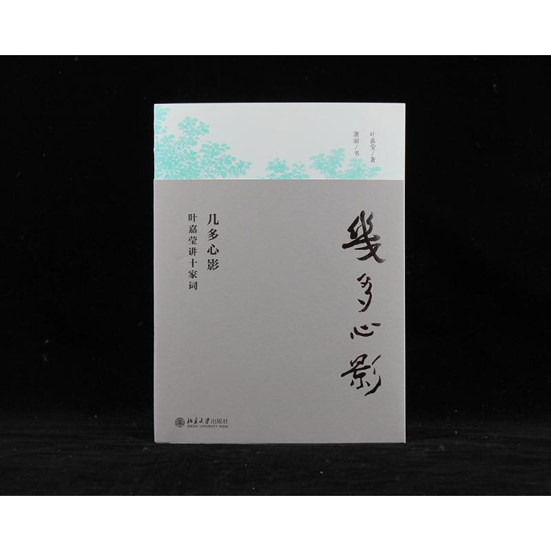 醉染图书几多心影 叶嘉莹讲十家词9787301307809高清大图