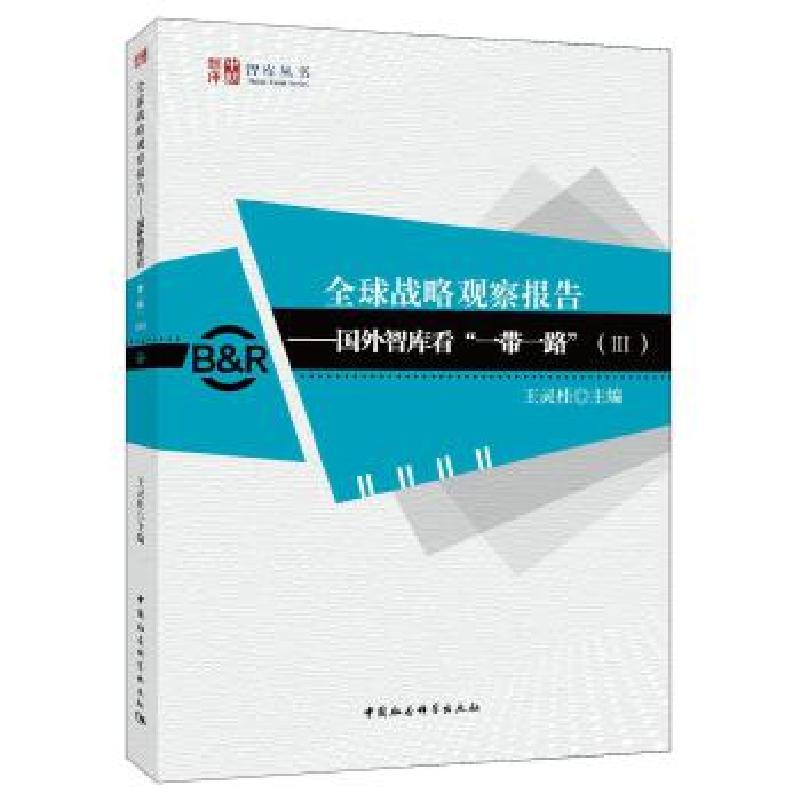 正版新书】全球战略观察报告王灵桂 主编 著作9787516199343